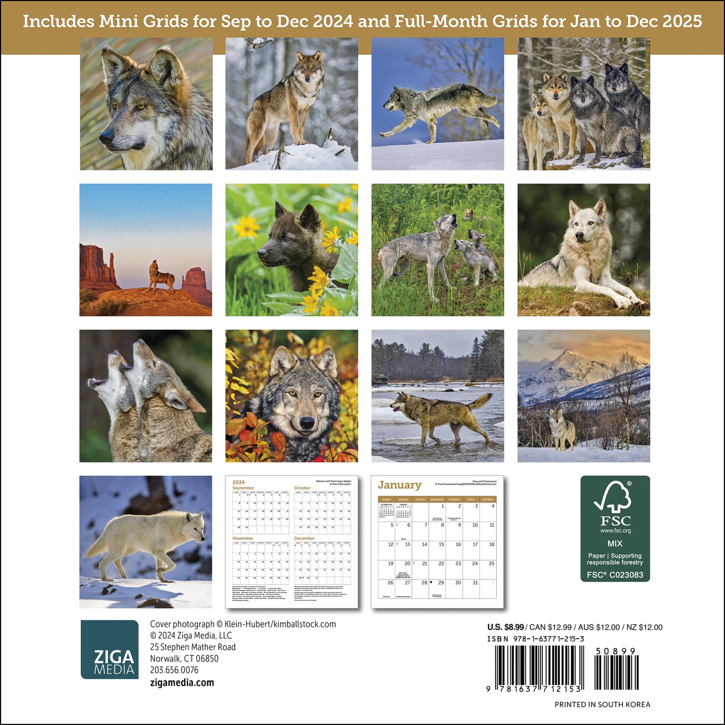 Wolves Mini Wall Calendar 2025, 7" x 7"