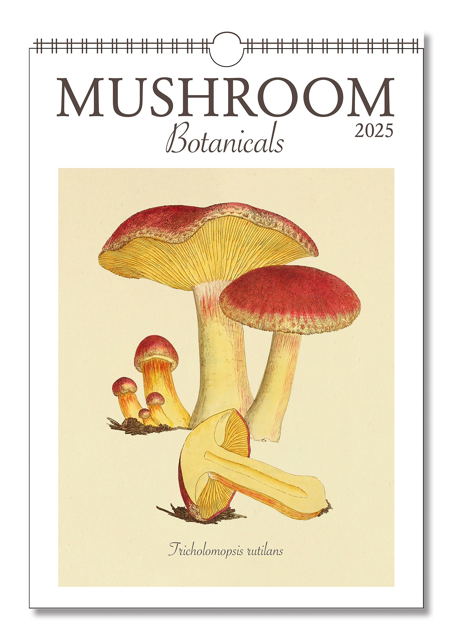 Mushroom Botanicals Oversize Wall Calendar 2025, 13.38'' x 19'' Spiral Bound with Hanger