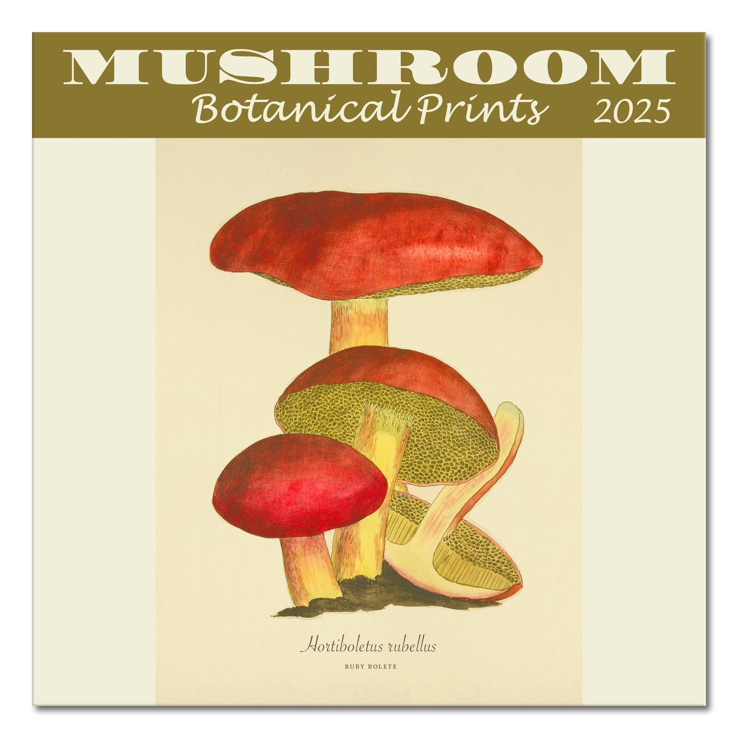 Mushroom Botanical Prints Mini Wall Calendar 2025, 7" x 7"