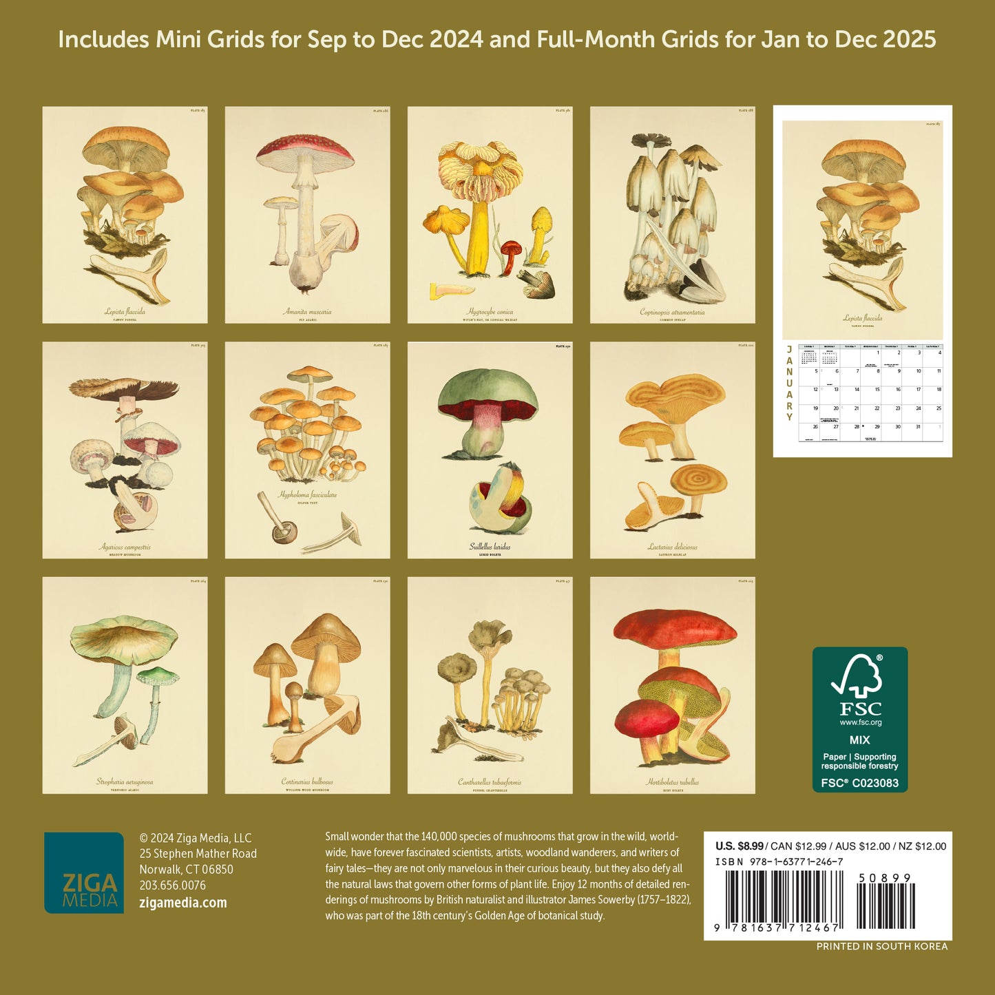 Mushroom Botanical Prints Mini Wall Calendar 2025, 7" x 7"