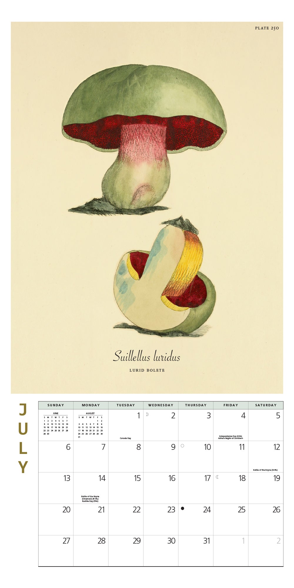 Mushroom Botanical Prints Mini Wall Calendar 2025, 7" x 7"