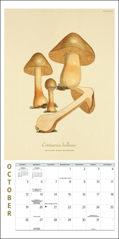 Mushroom Botanical Prints Mini Wall Calendar 2025, 7" x 7"