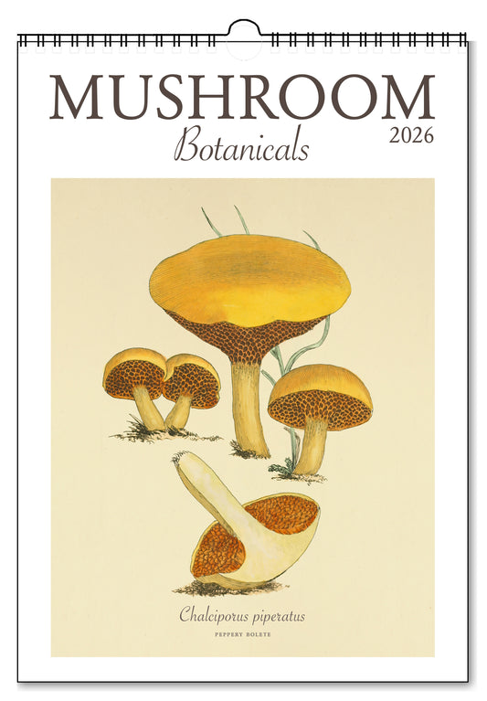 2026 Mushroom Botanicals Oversize Wall Calendar, 13.4'' x 19'' Spiral Bound with Hanger