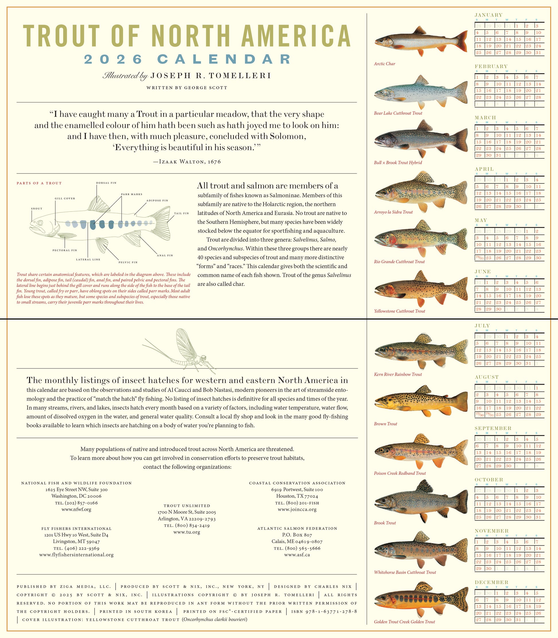 Trout-themed 2026 wall calendar, 14" x 8" format