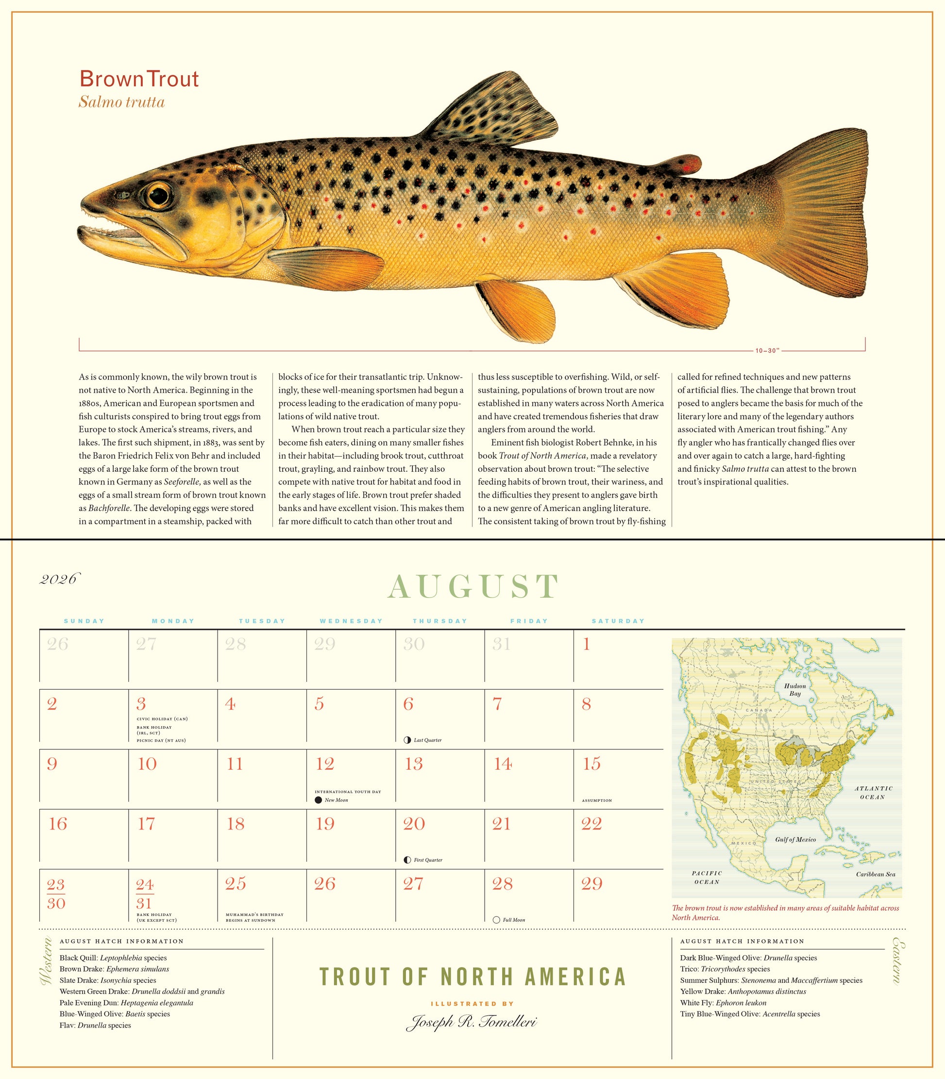 North American trout artwork wall calendar for 2026