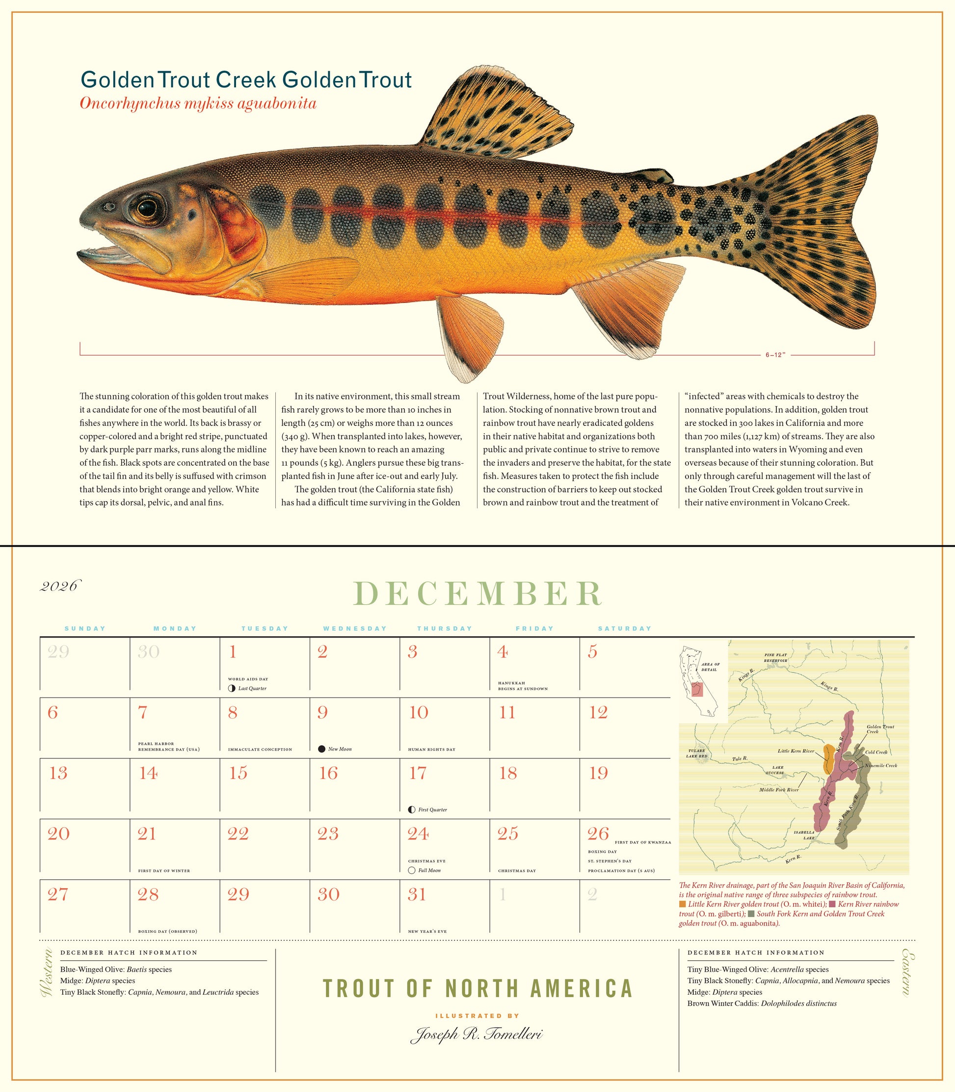 2026 calendar featuring trout illustrations by month