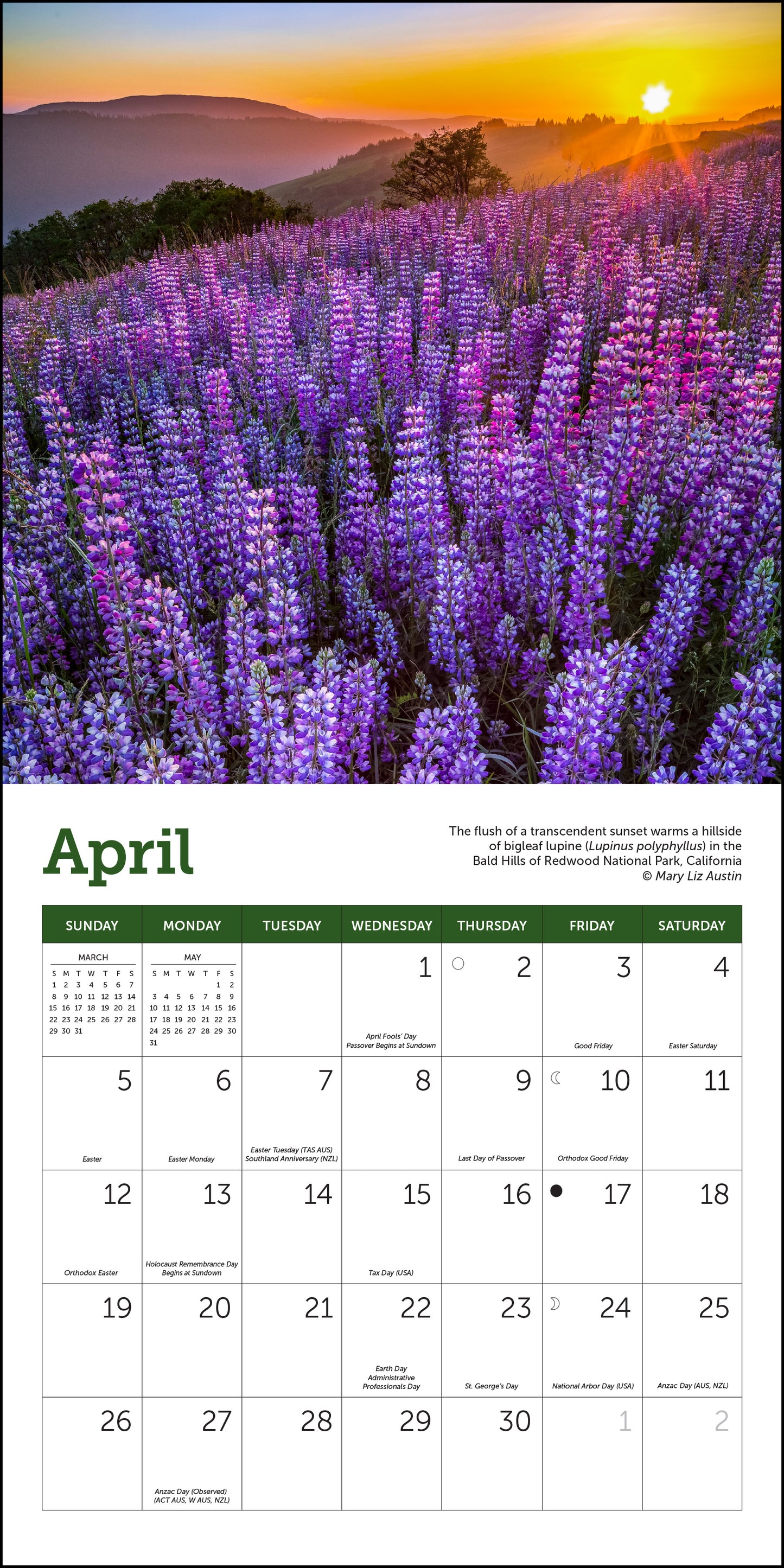 Mini wall calendar with U.S. National Parks, 7" x 7"