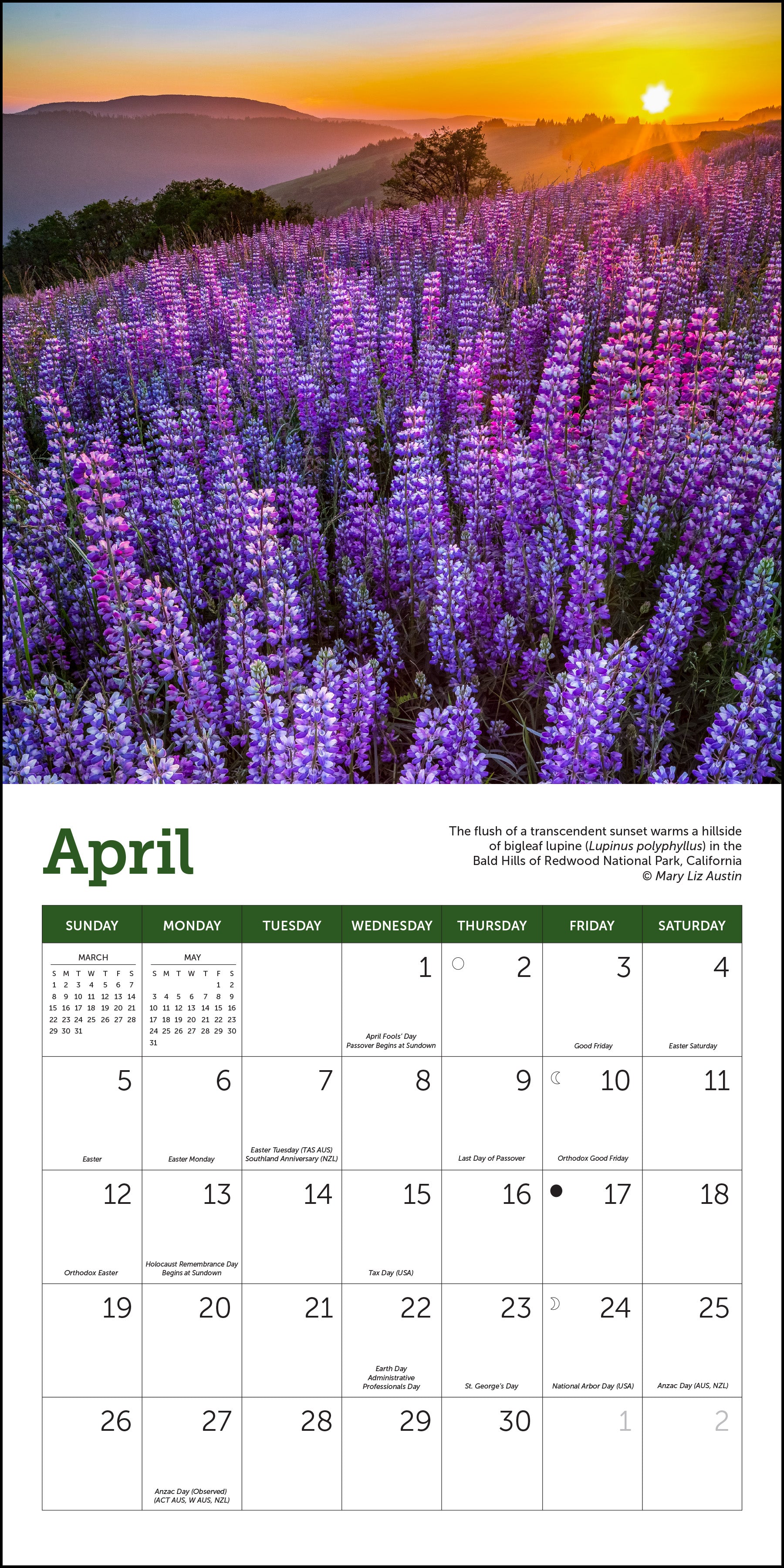 Mini wall calendar with U.S. National Parks, 7" x 7"