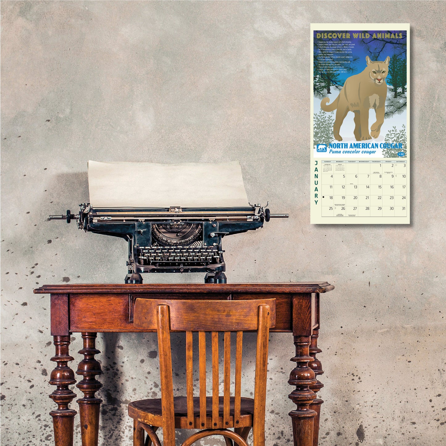 Compact 7" x 7" wildlife wall calendar
