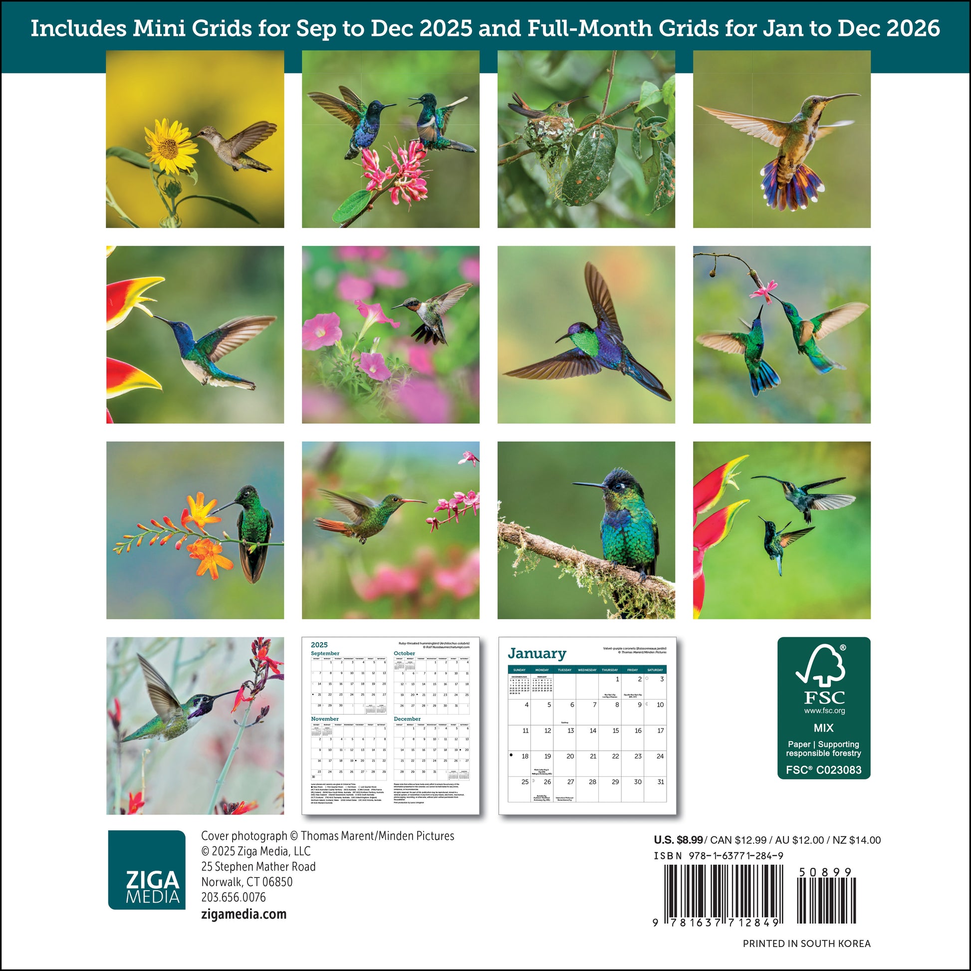 Small 2026 calendar with bird photography