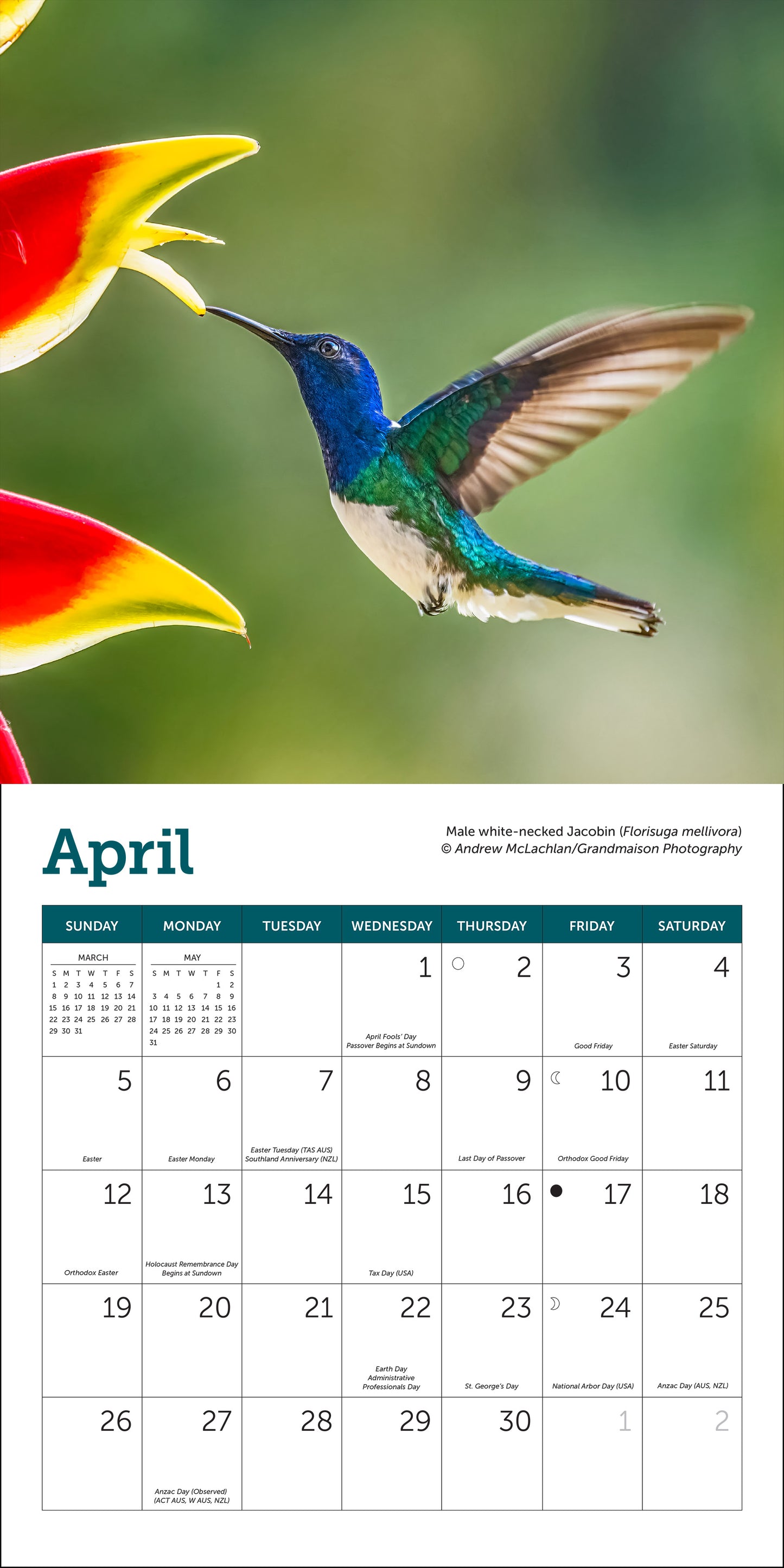 Mini wall calendar featuring hummingbirds for 2026