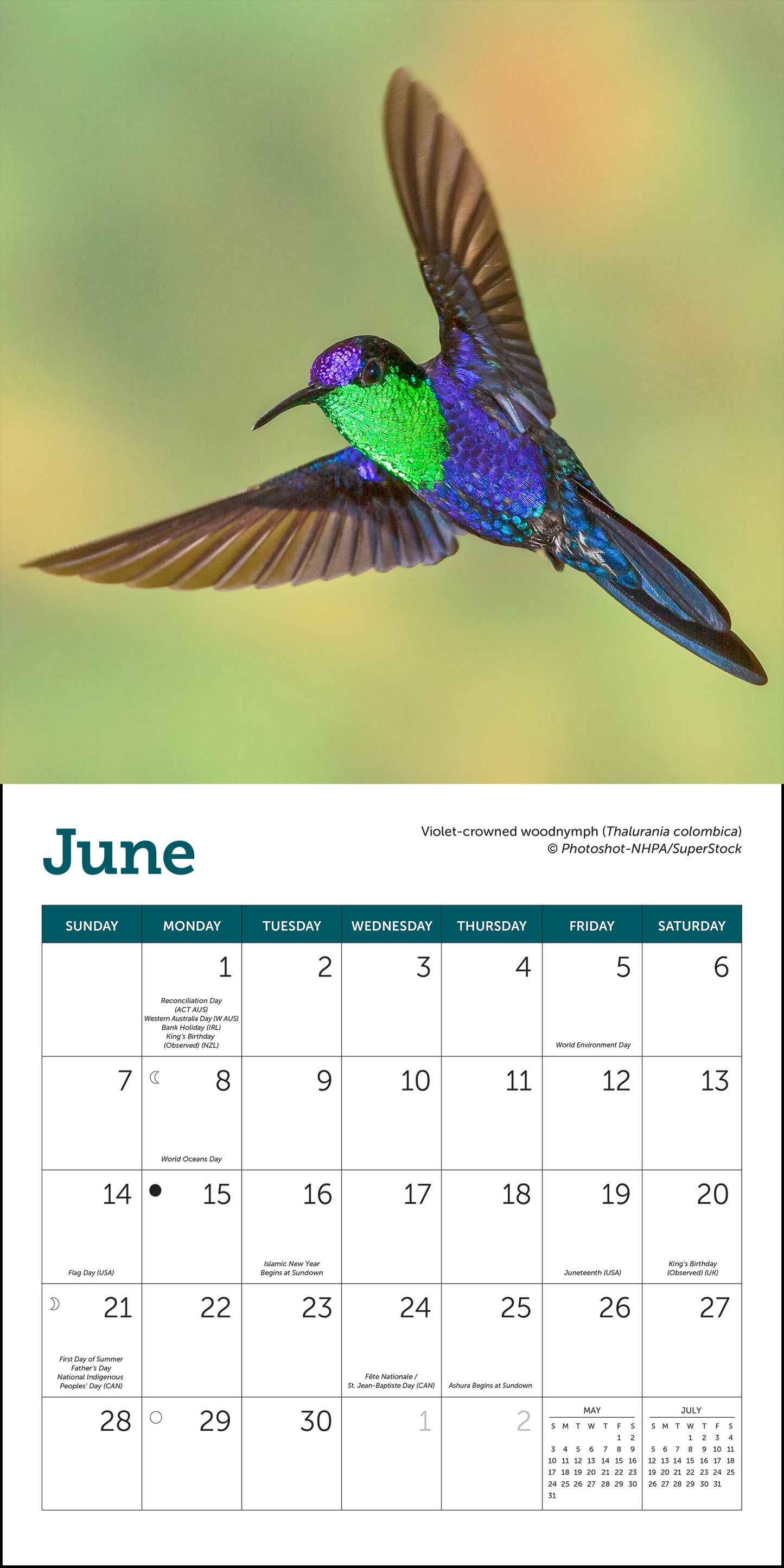 2026 calendar with colorful hummingbird images