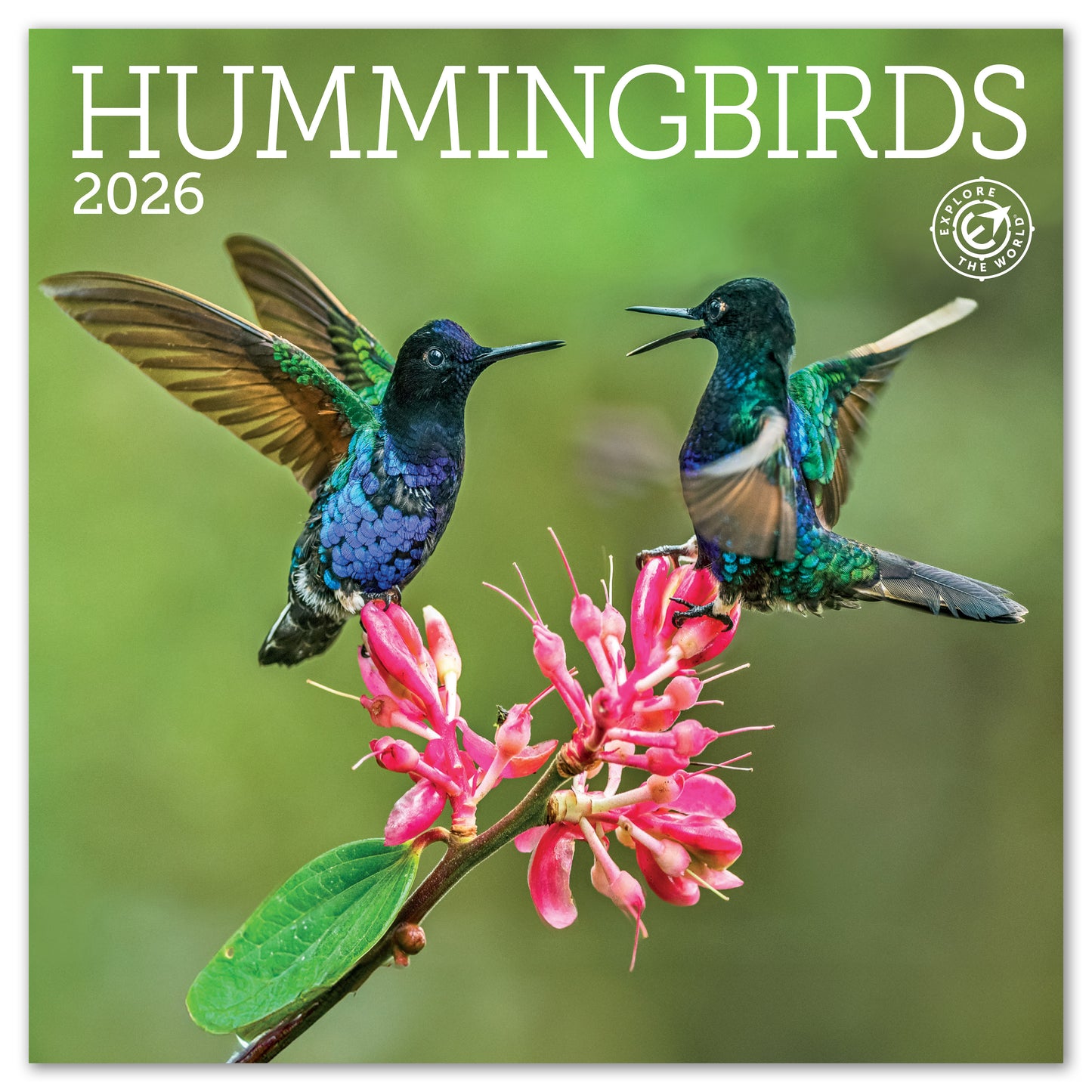 2026 Hummingbirds Mini Wall Calendar, 7" x 7"