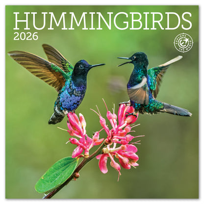 2026 Hummingbirds Mini Wall Calendar, 7" x 7"