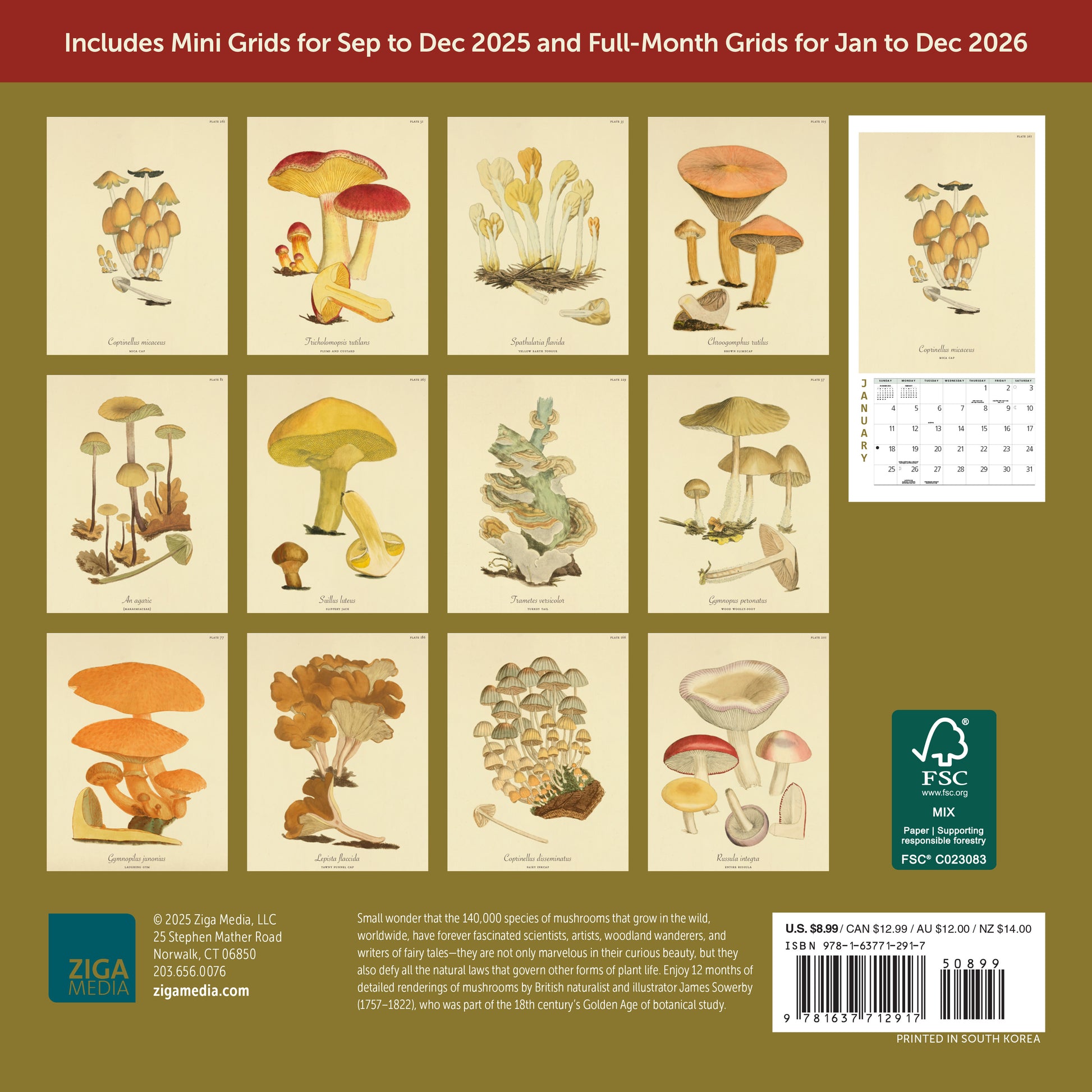 Small 2026 calendar with botanical fungi designs