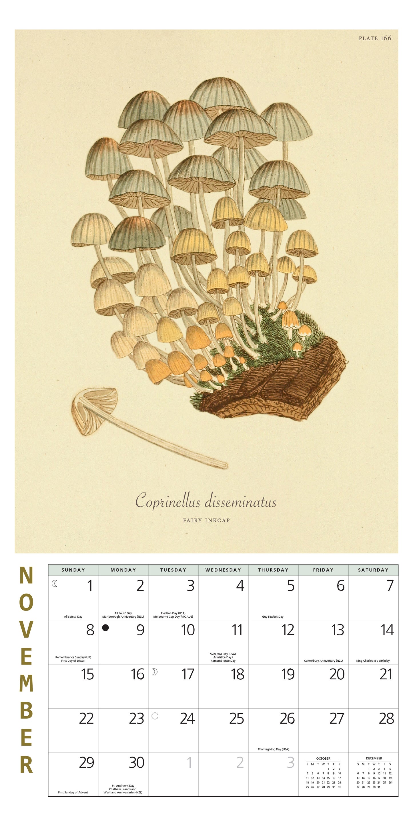 2026 calendar featuring botanical mushroom art