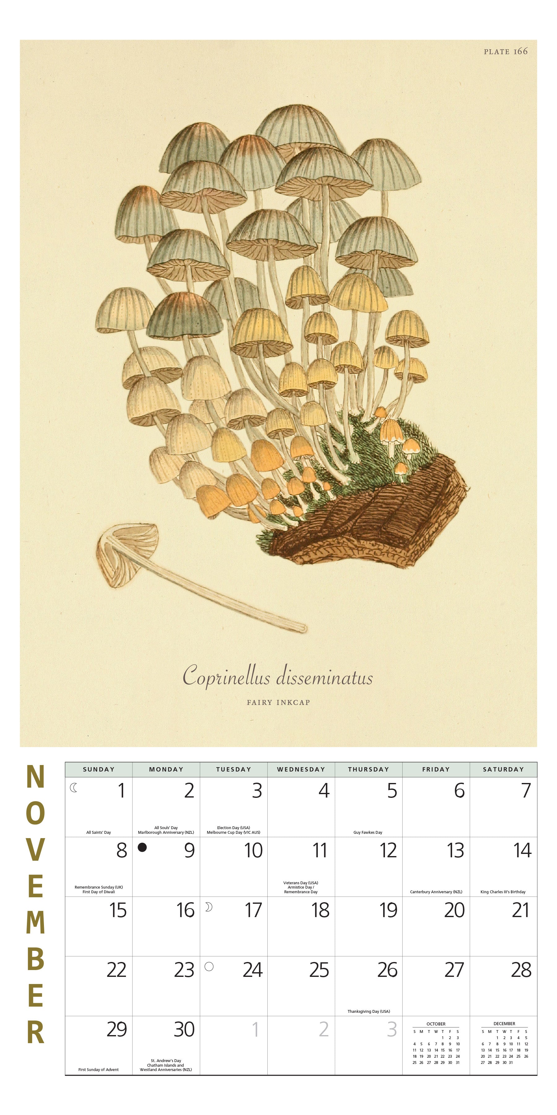 2026 calendar featuring botanical mushroom art