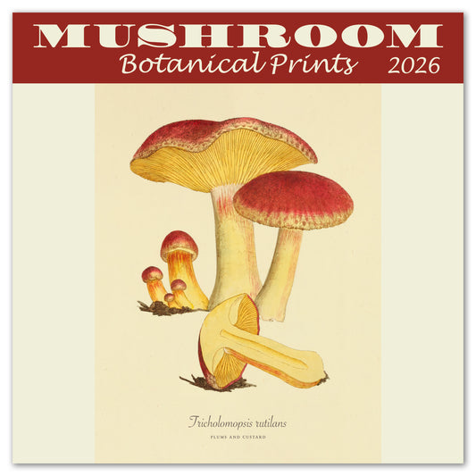 2026 Mushroom Botanical Prints Mini Wall Calendar