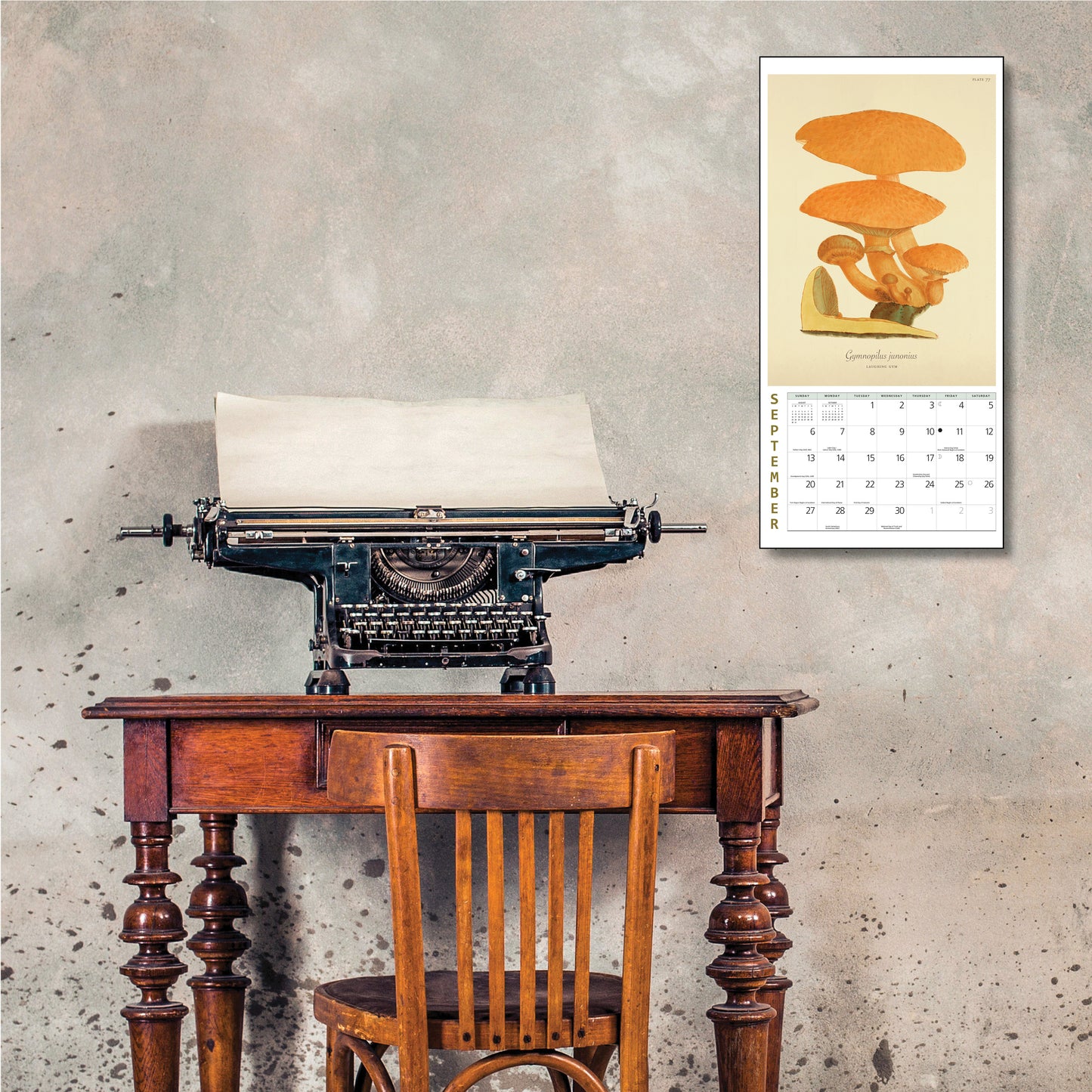 Compact 7" x 7" mushroom print calendar