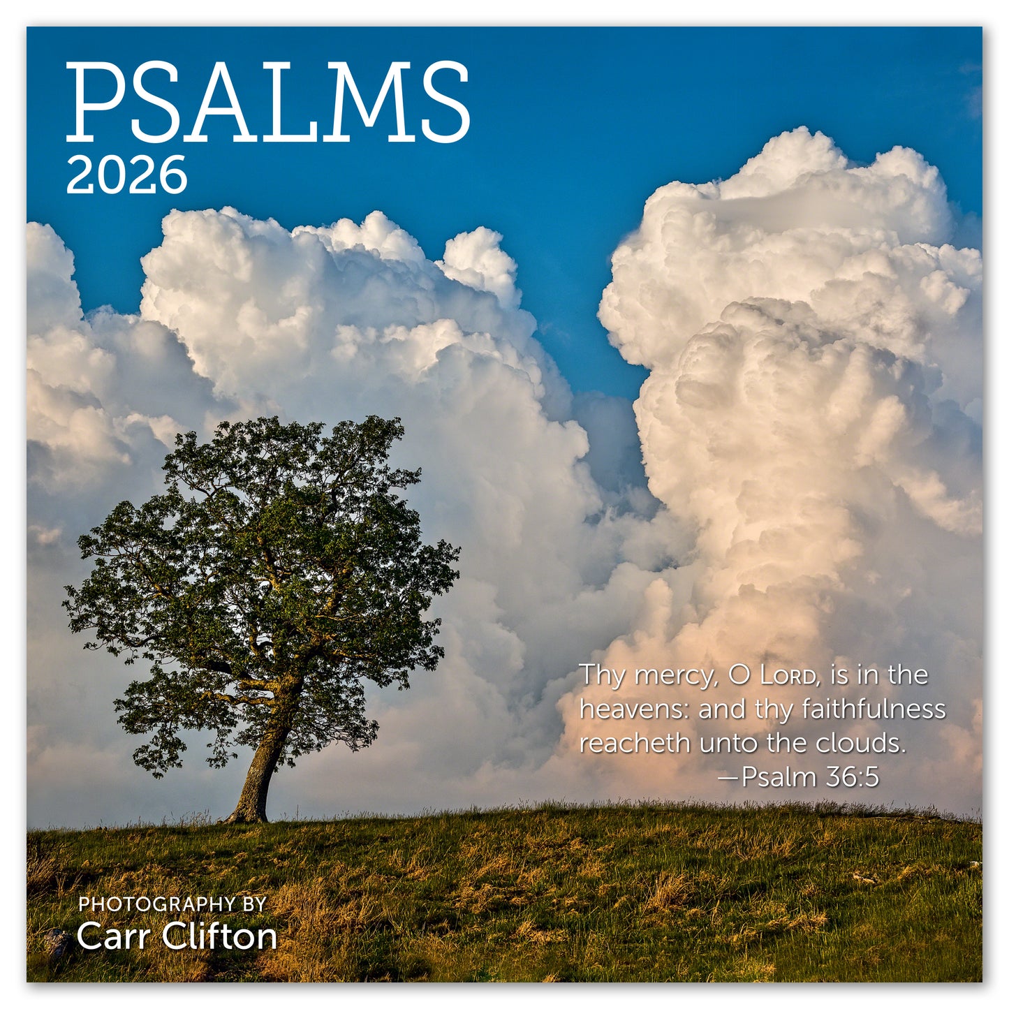 2026 Psalms Mini Wall Calendar, 7" x 7"