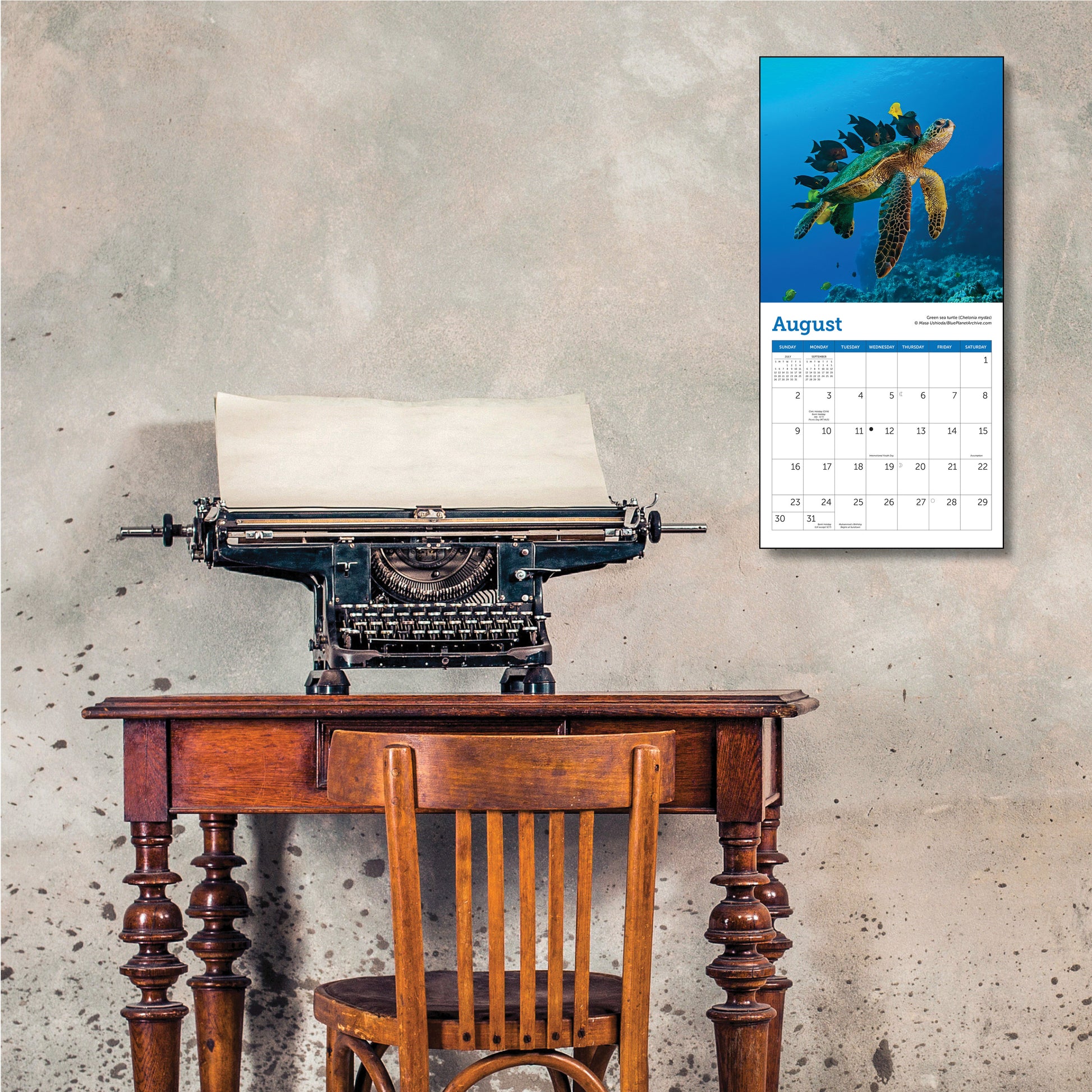 Compact 7" x 7" calendar with marine turtle images