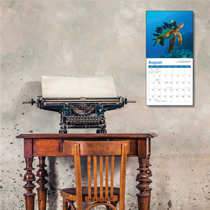 Compact 7" x 7" calendar with marine turtle images