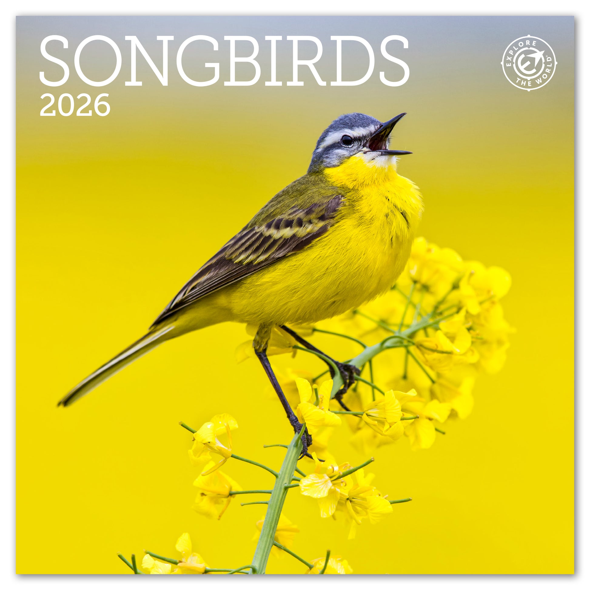 2026 Songbirds Mini Wall Calendar, 7" x 7"