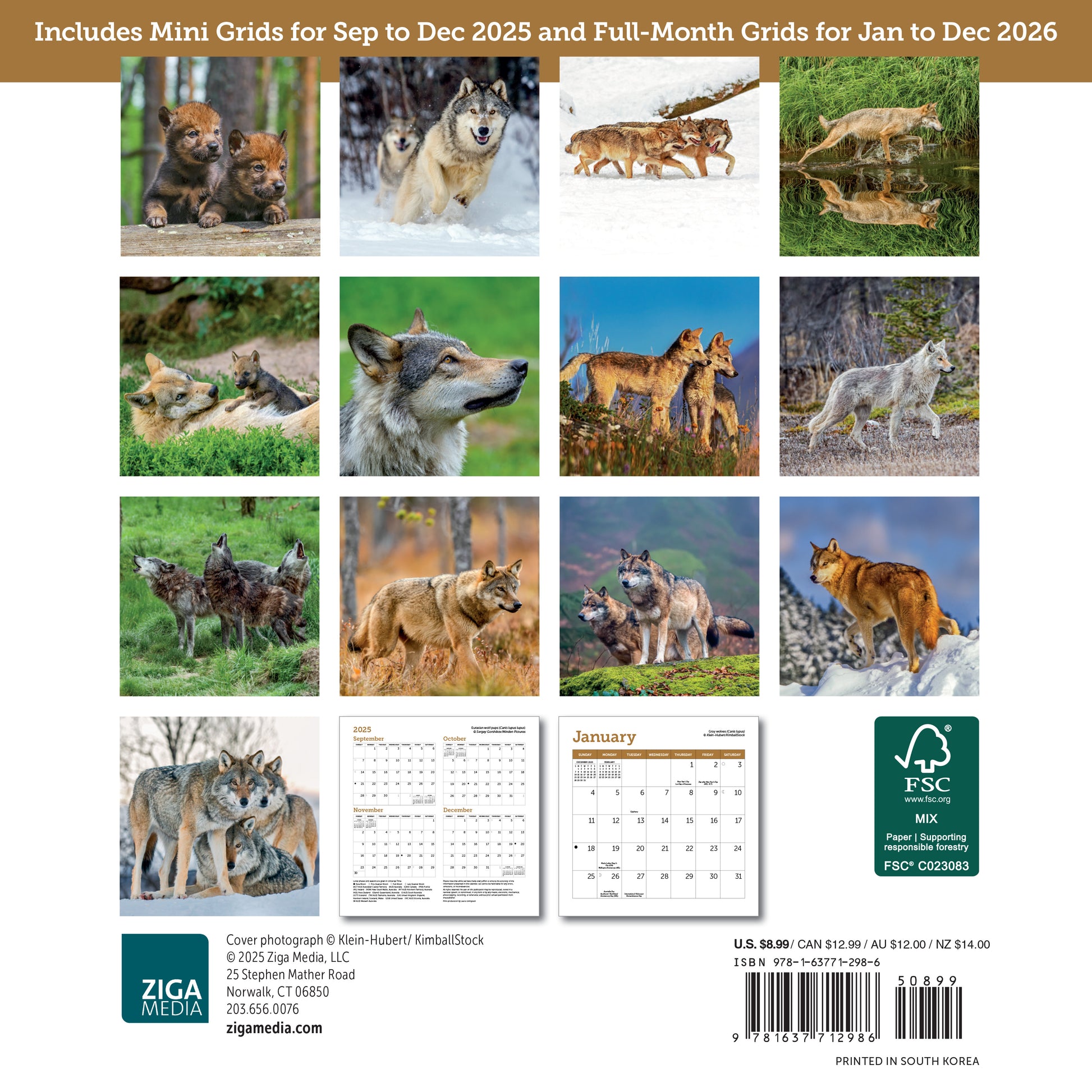 Small 2026 calendar with stunning wolf photos