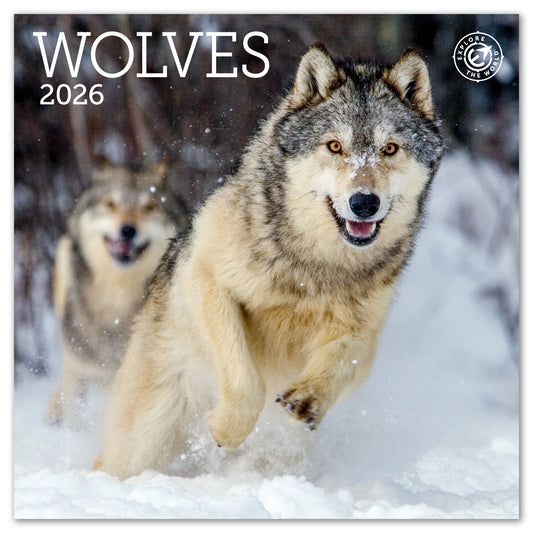 2026 Wolves Mini Wall Calendar, 7" x 7"