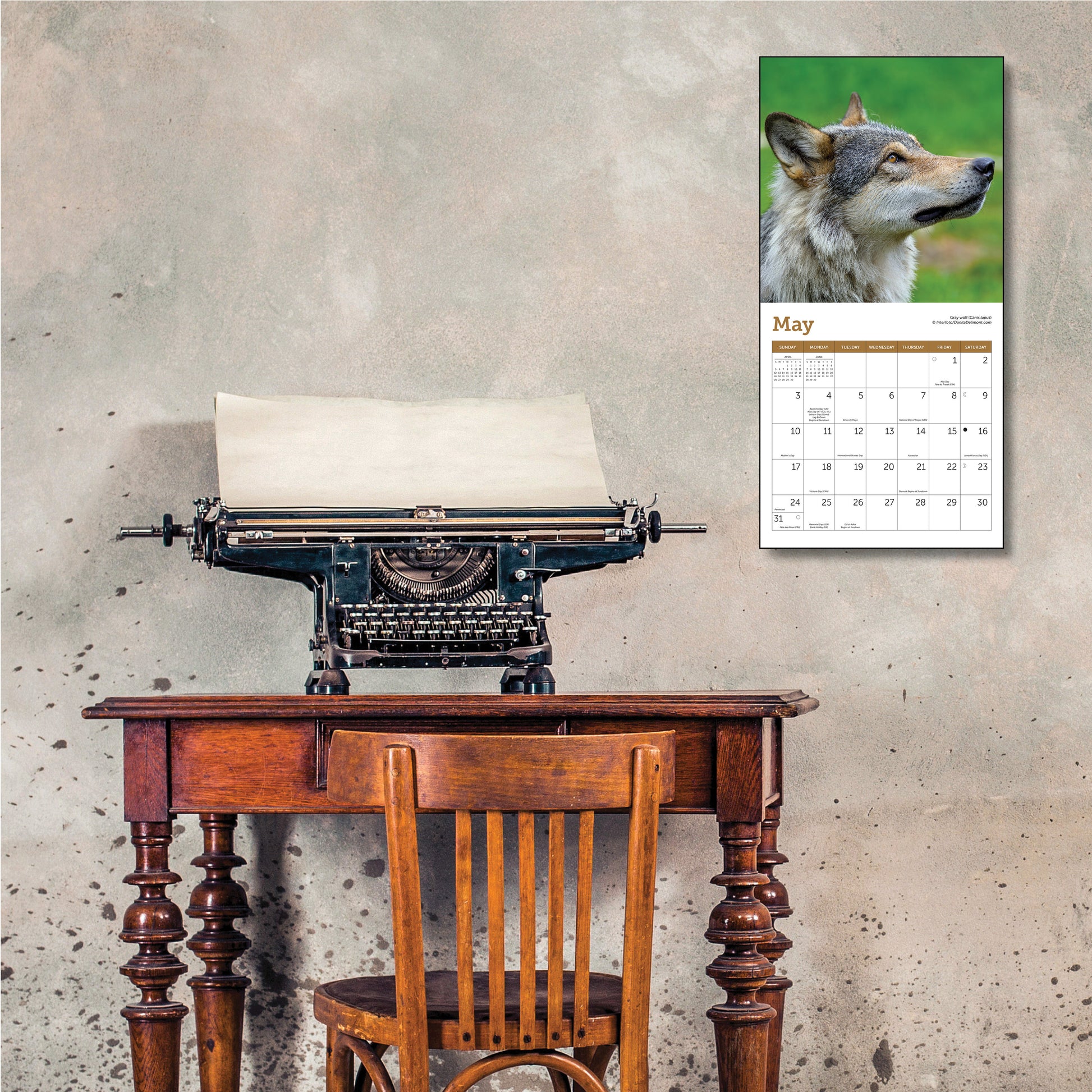 Compact 7" x 7" calendar showcasing wolf images
