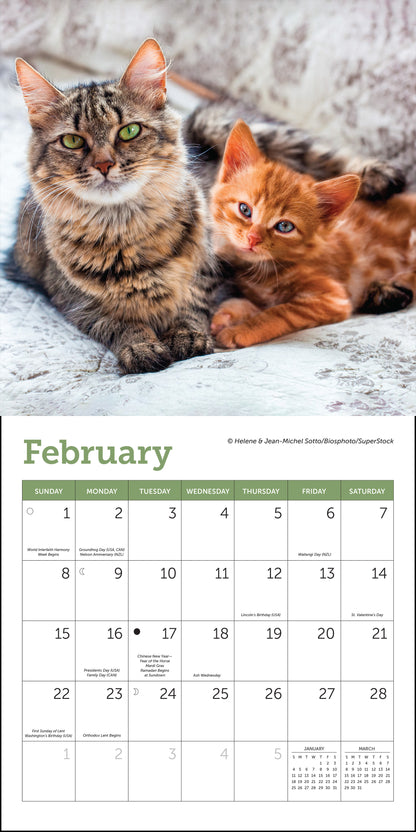 Mini wall calendar featuring cats for 2026