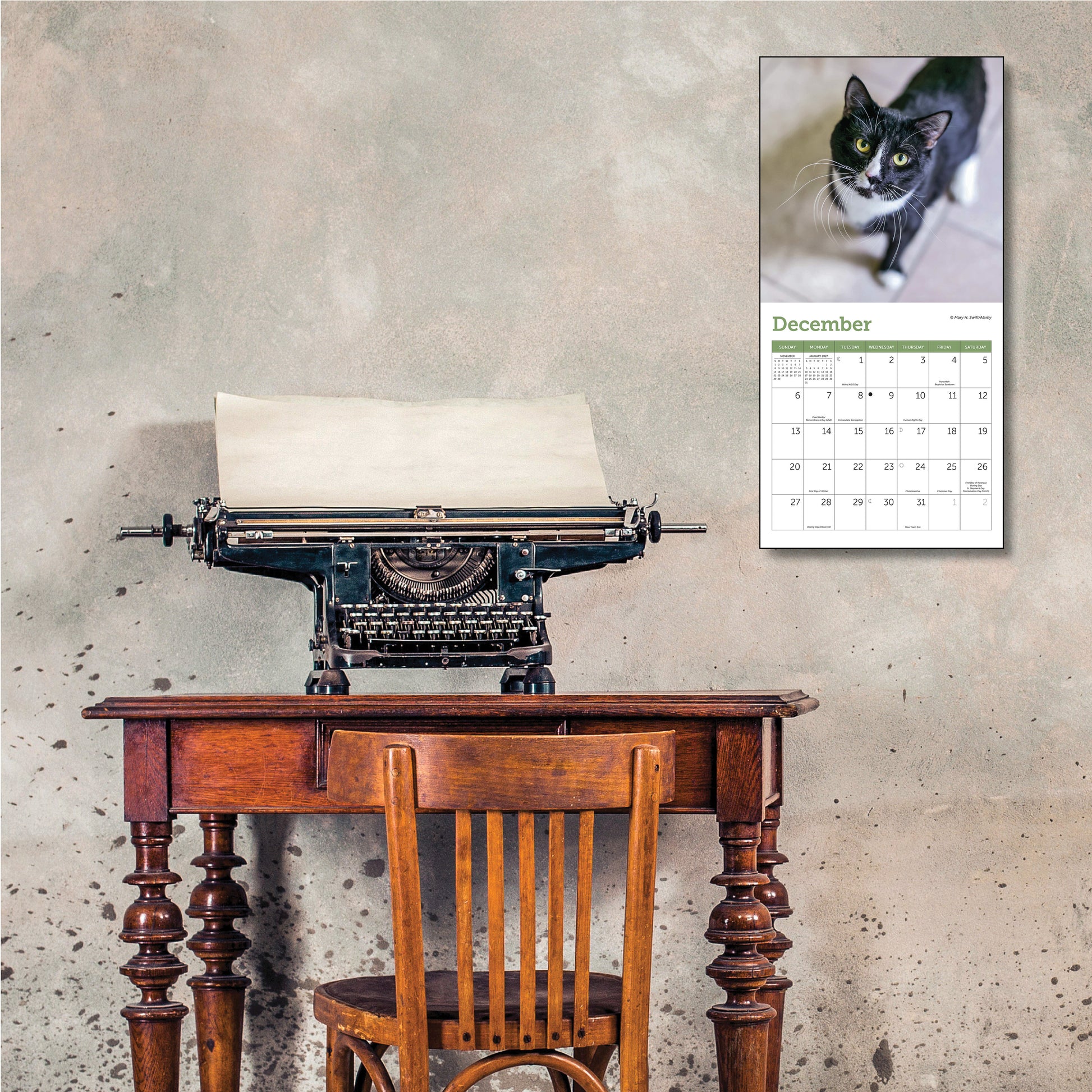 Small wall calendar with cat images, 7" x 7"