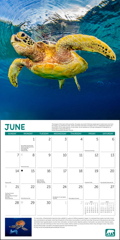 2026 Project Green Wall Calendar, 12 x 12"