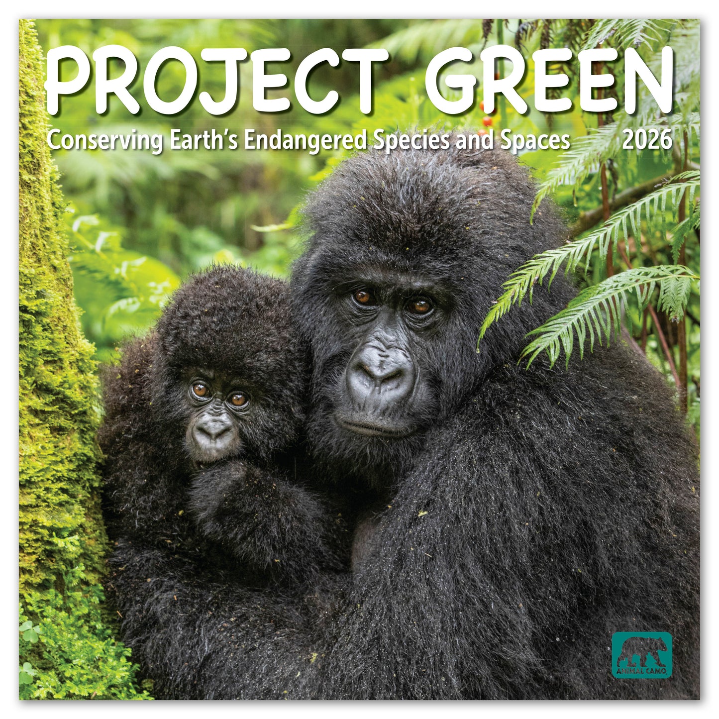 2026 Project Green Wall Calendar, 12 x 12"