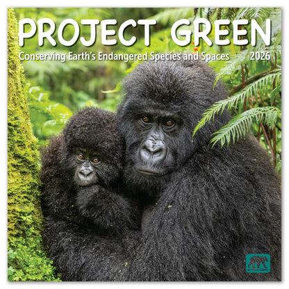 2026 Project Green Wall Calendar, 12 x 12"