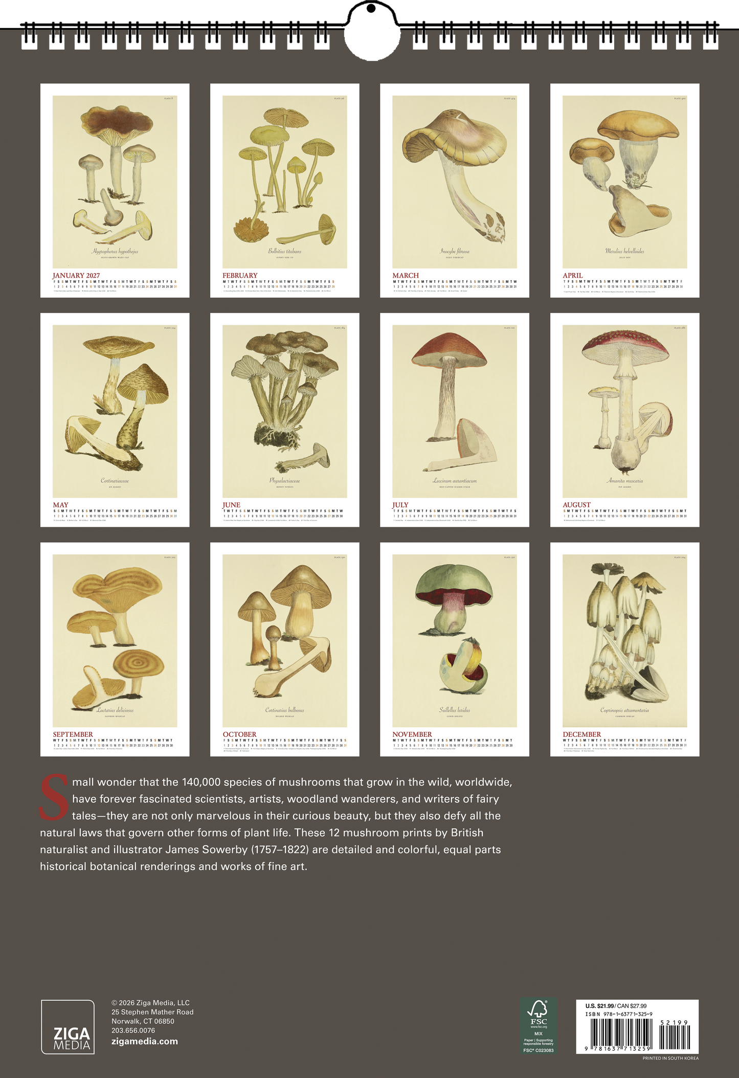 2027 Mushroom Botanicals Large Wall Calendar 13.4" x 19" Spiral Bound with Hanger
