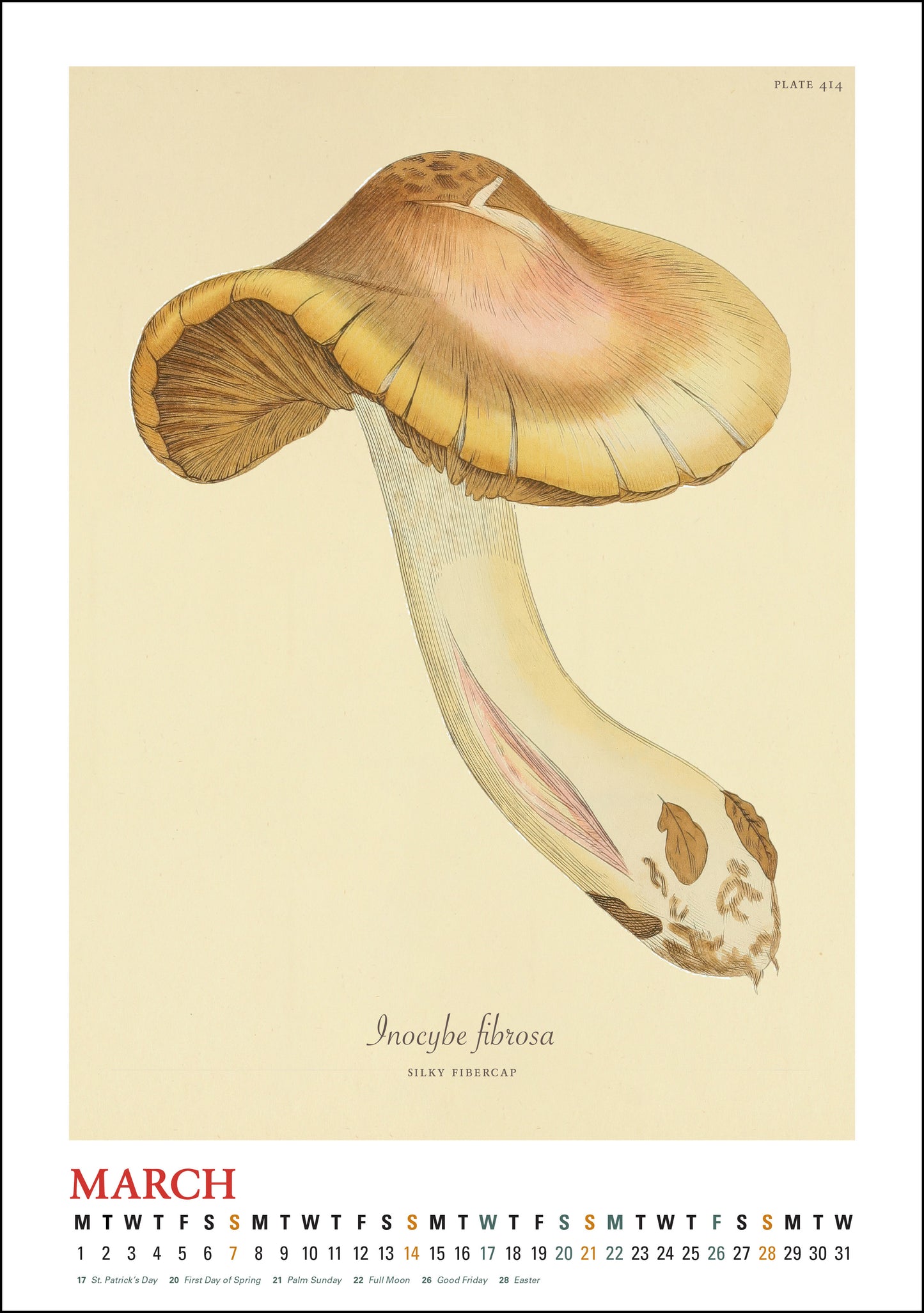 2027 Mushroom Botanicals Large Wall Calendar 13.4" x 19" Spiral Bound with Hanger