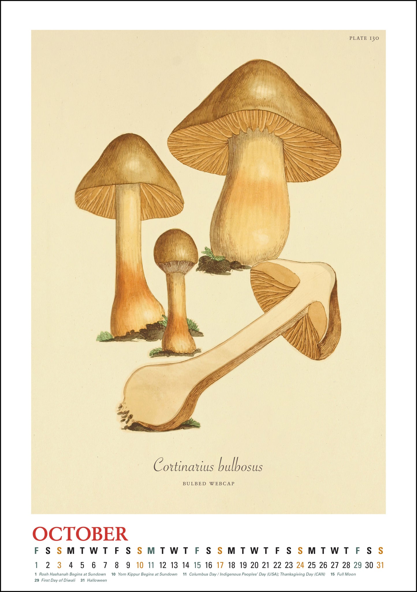 2027 Mushroom Botanicals Large Wall Calendar 13.4" x 19" Spiral Bound with Hanger