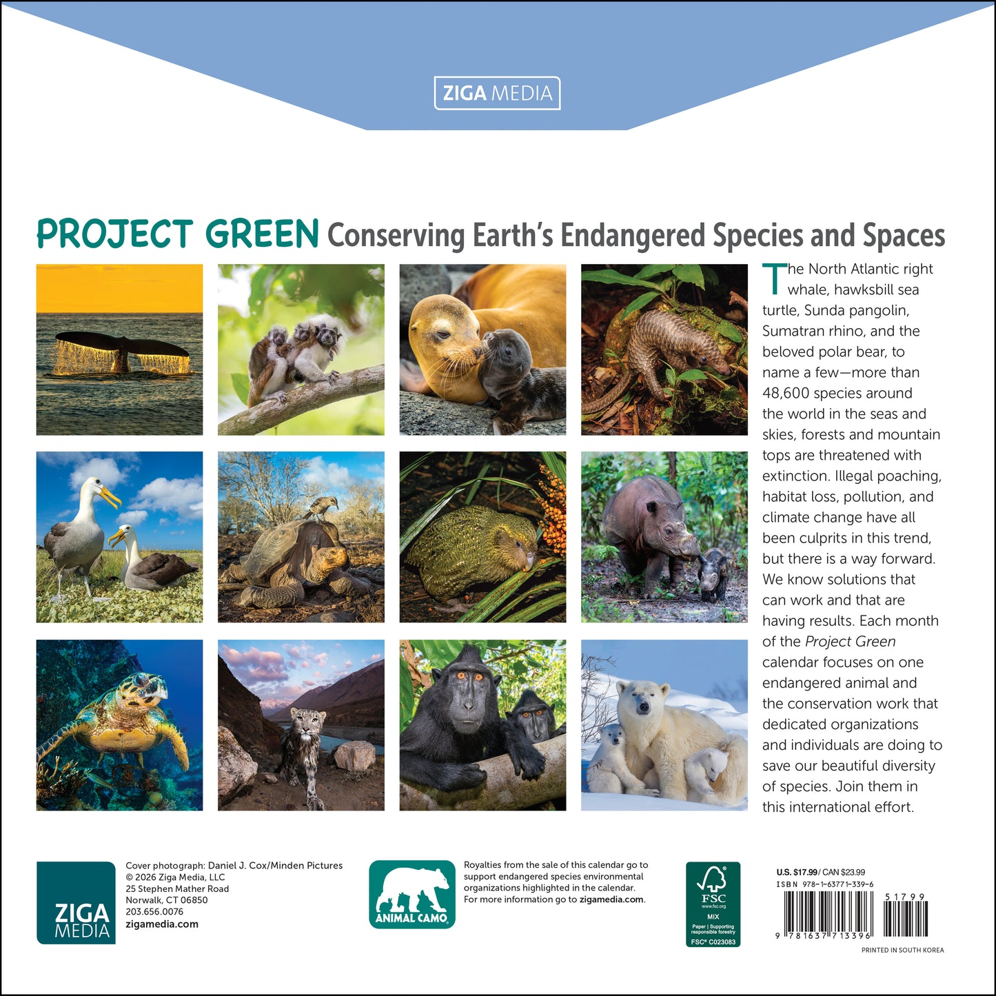 2027 Project Green Wall Calendar, 12" x 12"