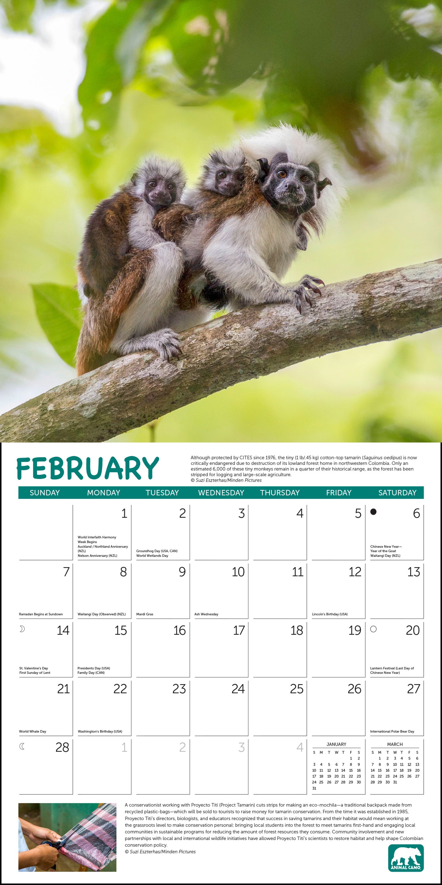 2027 Project Green Wall Calendar, 12" x 12"