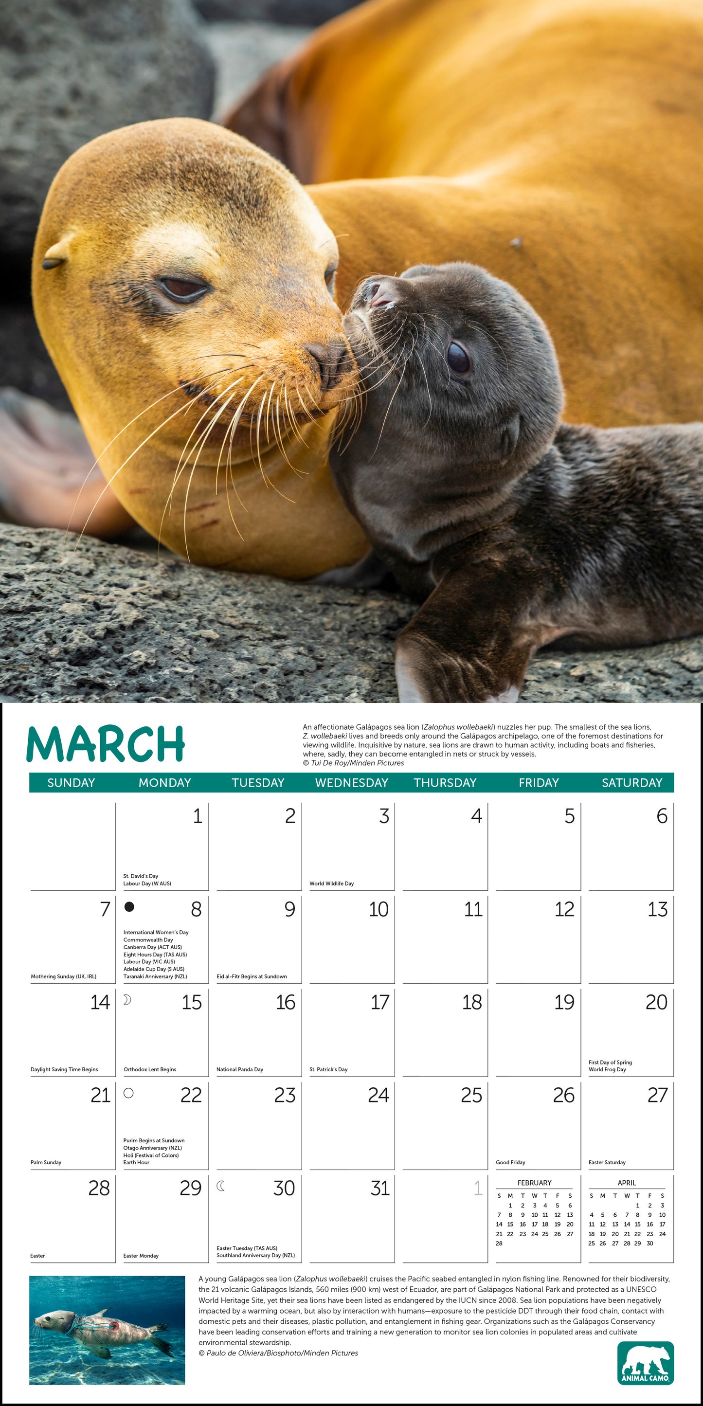 2027 Project Green Wall Calendar, 12" x 12"