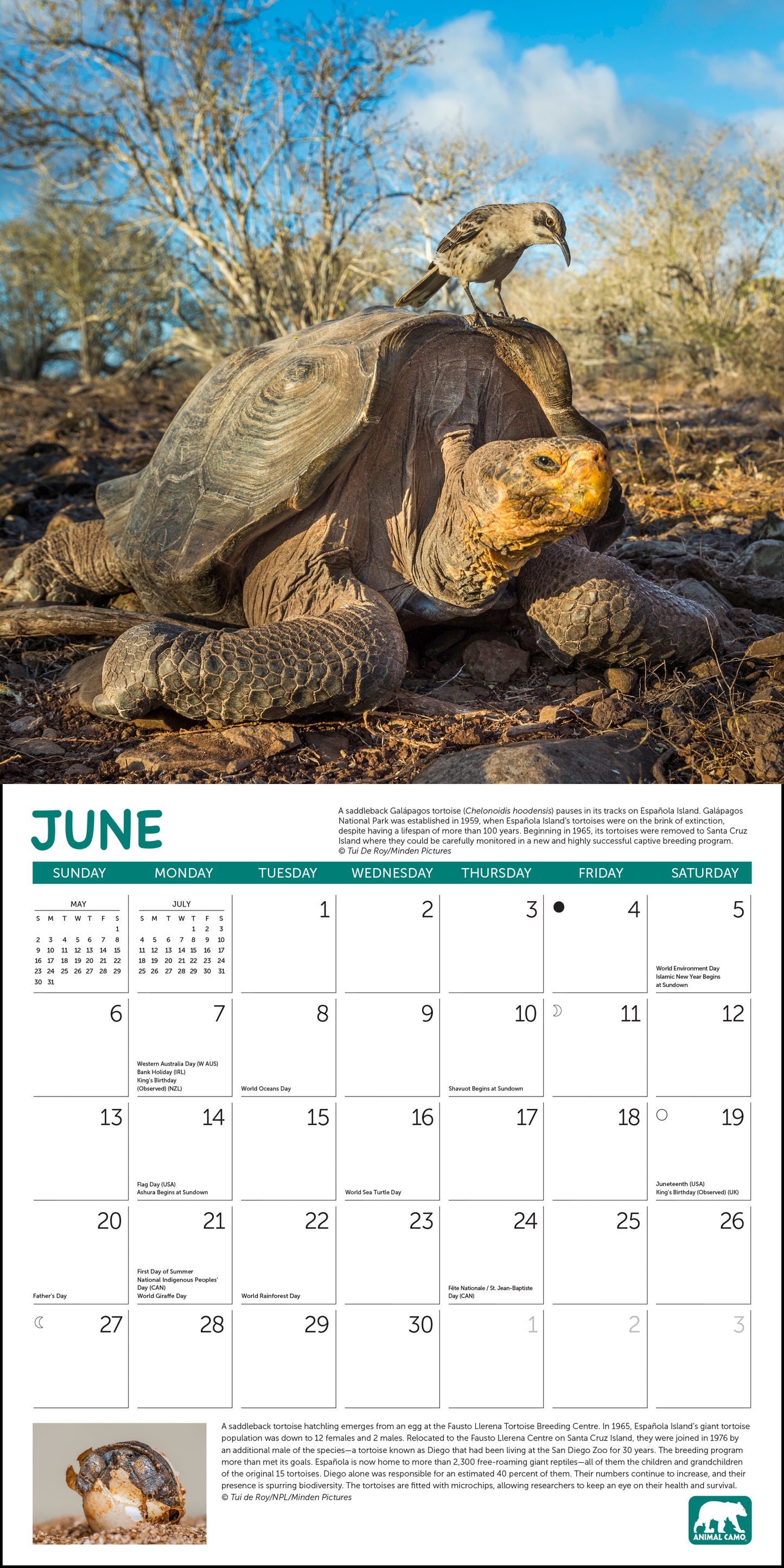2027 Project Green Wall Calendar, 12" x 12"