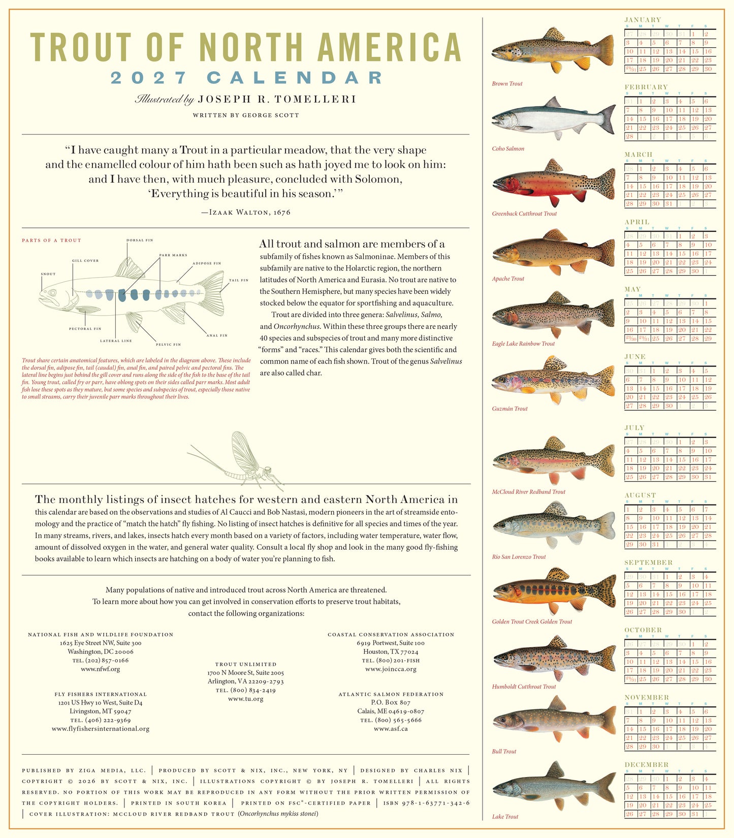 2027 Trout of North America Wall Calendar, 14" x 8"