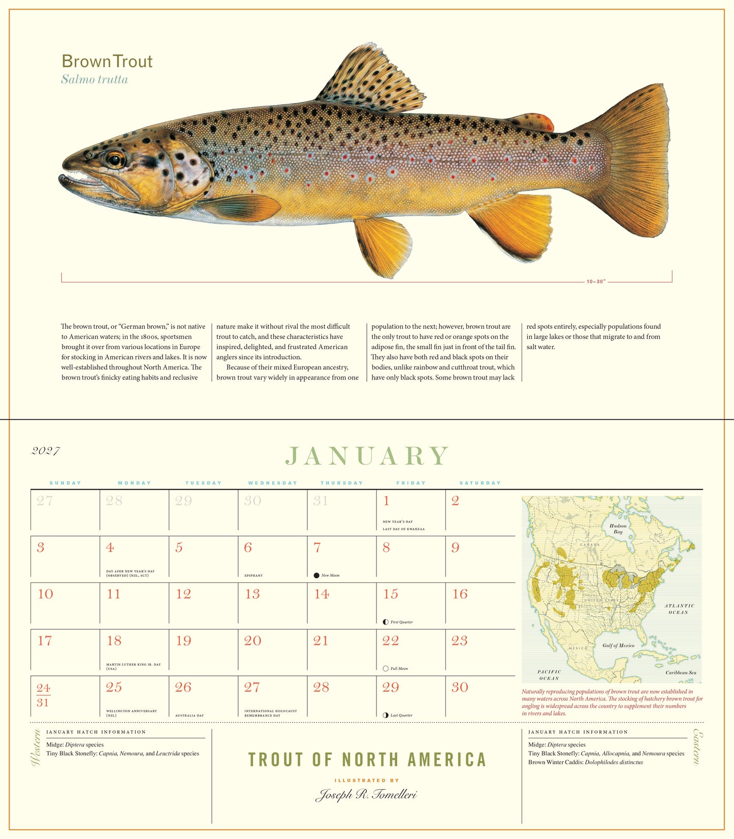 2027 Trout of North America Wall Calendar, 14" x 8"