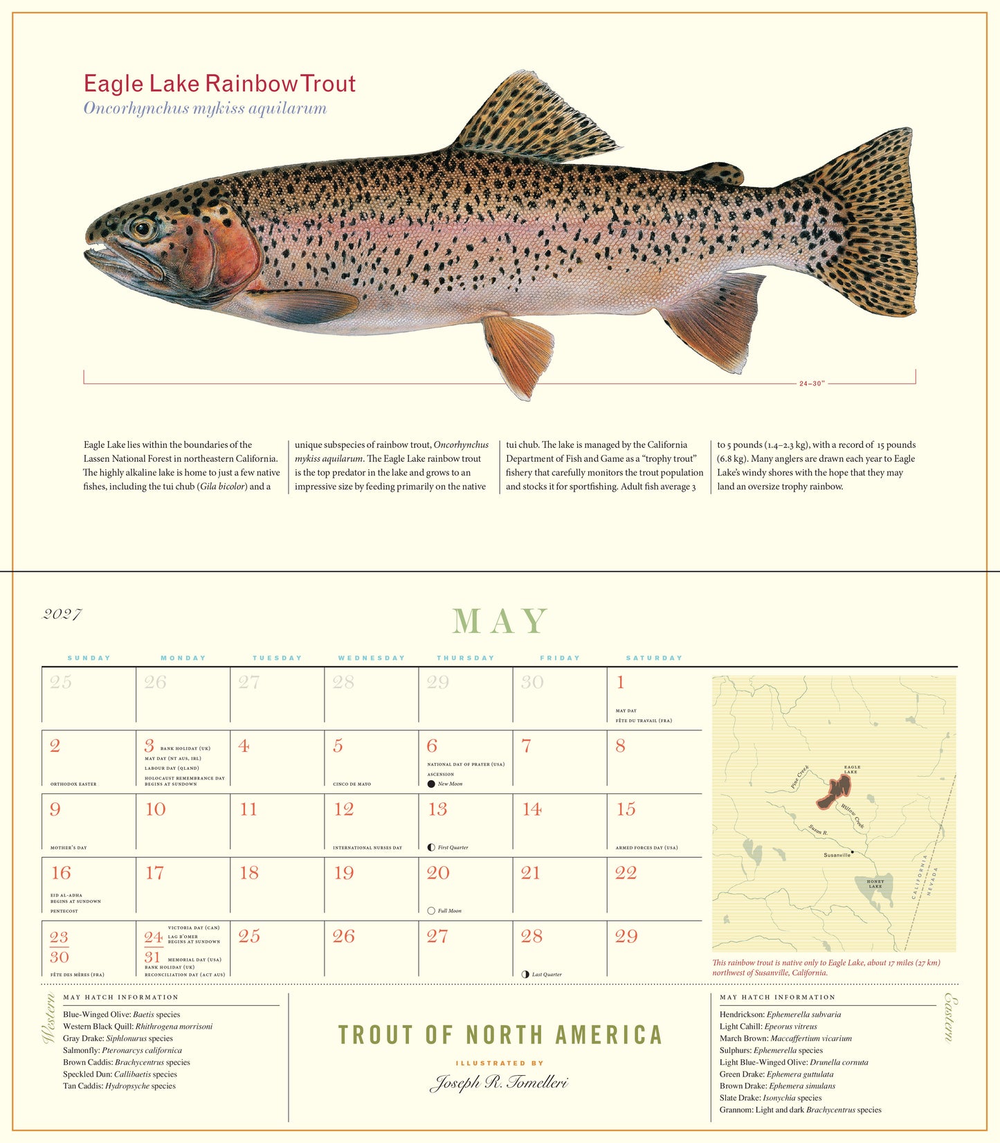 2027 Trout of North America Wall Calendar, 14" x 8"