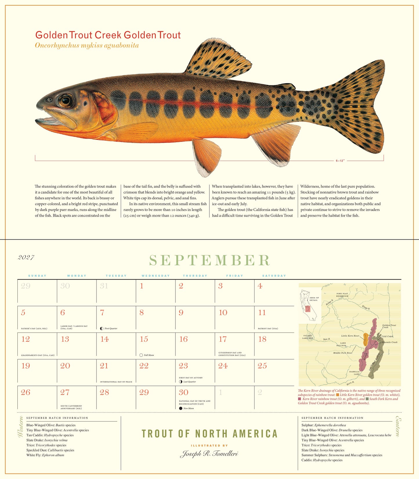2027 Trout of North America Wall Calendar, 14" x 8"