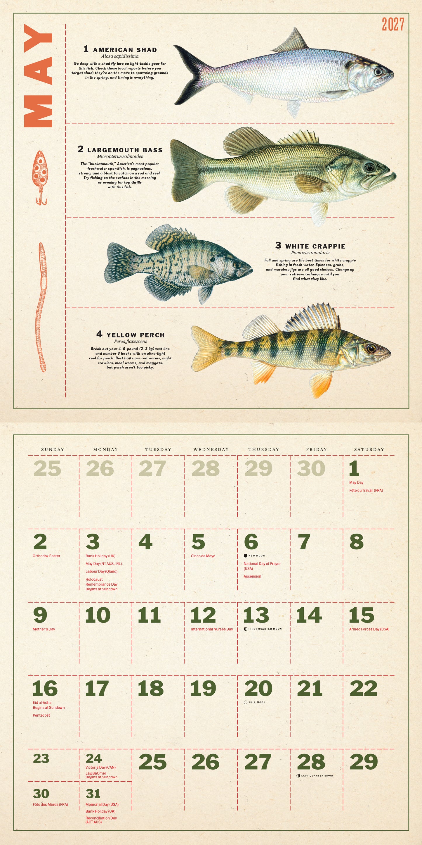 2027 Twelve Months of Fishing Wall Calendar, 12" x 12"