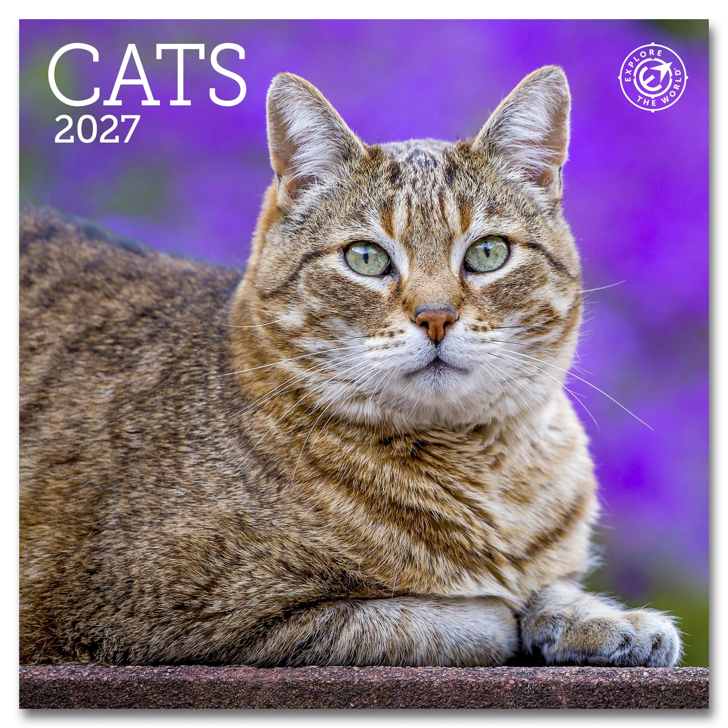 2027 Cats Mini Wall, 7" x 7"