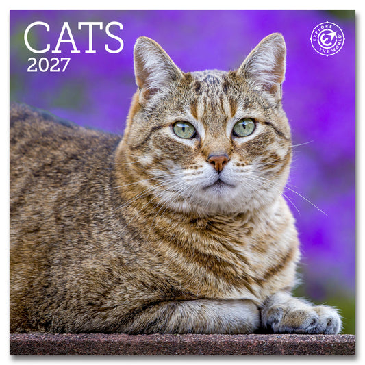 2027 Cats Mini Wall, 7" x 7"