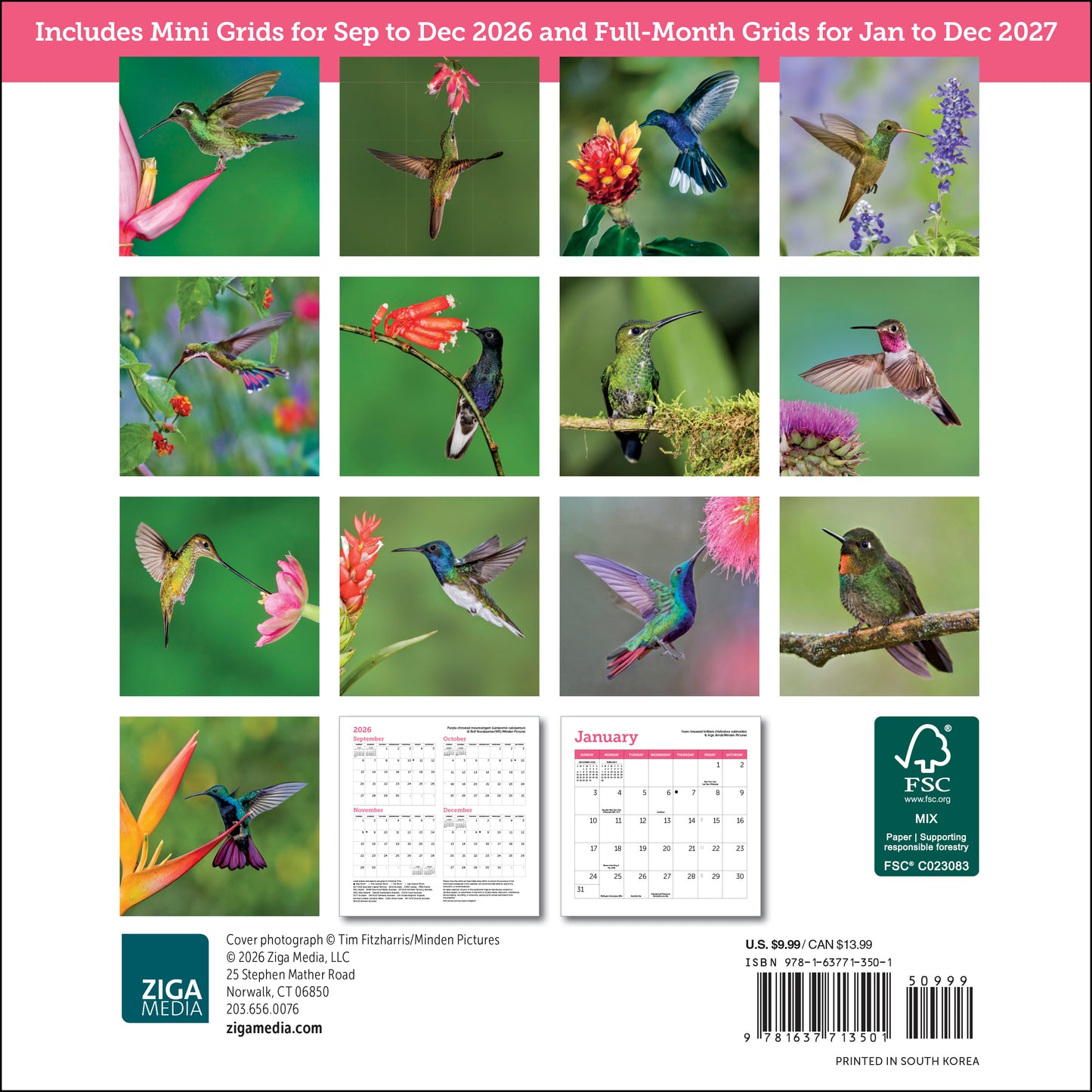 2027 Hummingbirds Mini Wall, 7" x 7"